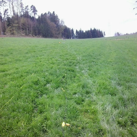 baugrunderkundung_2 (1)